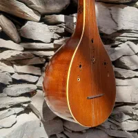 سه تارحرفه ای|سازهای سنتی|مشهد, مشکینی (شهرک غرب)|دیوار