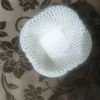 جا سبزی|ظروف نگهدارنده، پلاستیکی، یک‌بارمصرف|اصفهان, شاهد|دیوار