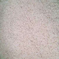 فروش برنج طارم شمال
