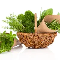 تمامی وسایل مغازه سبزیجات