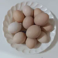 تخم مرغ محلی نطفه دار تازه