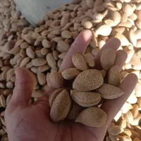 گردو کشمش از۲۰۰تومنی دا رم‌ تا ۴۵۰ت