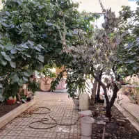 ۱۲۰همکف  جنوبی با حیاط اختصاصی دانشجو16