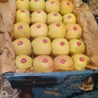 سیب درجه 2 و درجه 1|عمدهفروشی|ری, علایین|دیوار