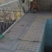 ویلا استخر وحیاط دار|فروش خانه و ویلا|قاهان, |دیوار