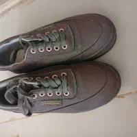 دوجفت کفش.|کیف، کفش، کمربند|فیروزه, |دیوار