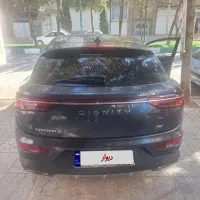 دیگنیتی در حدخشک