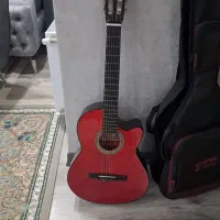 گیتار باکاورمخصوص