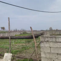 زمین فروشی 430مترچهاردیواری درسوراپشت|فروش زمین و ملک کلنگی|تالش, هشتپر|دیوار