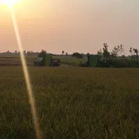 فروش-زمین-کشاورزی-شمال