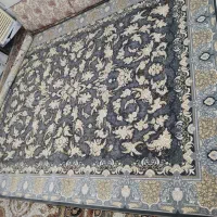 فرش نو نو هنوز باز نشده|فرش|اهواز, کوروش|دیوار