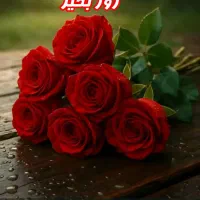 عکاسی وفیلمبرداری