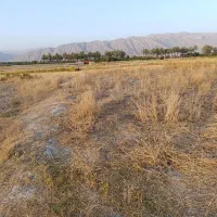 1400 متر زمین|فروش دفتر صنعتی، کشاورزی، تجاری|کازرون, |دیوار