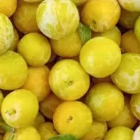 الو زرددرشت واورگانیک بدون زره ای سمپاشی