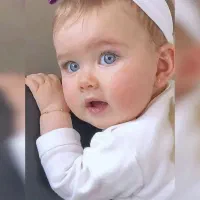 نیازمند رحم اجاره ای