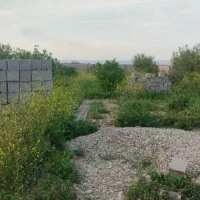 فروش باغ 1260متری نرسیده به چم گلک معاوضه با ماشین|فروش دفتر صنعتی، کشاورزی، تجاری|اندیمشک, |دیوار