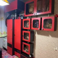 سرویس کامل کودک (تخفیف خورد)