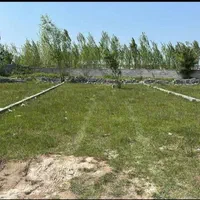 زمین237متری*شهرک برند*منطقه جنگلی