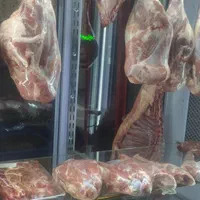 گوشت گوسفند تازه سردست و ران با تحویل روزانه|خوردنی و آشامیدنی|مشهد, گاز|دیوار