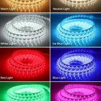 ریسه شلنگی وایرلس (نور مخفی) تک رنگ و هفت رنگ|ریسه و چراغ تزئینی|تهران, هفده شهریور|دیوار