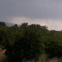 باغ انار ۱۲۰۰متر|فروش دفتر صنعتی، کشاورزی، تجاری|ساوه, |دیوار