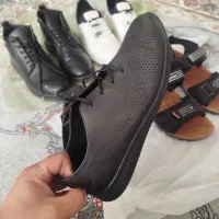 8جفت کفش زنانه و مردانه سایز 40/41|کیف، کفش، کمربند|سهند, |دیوار