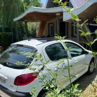 ۲۰۶سقف شیشه