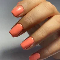 کاشت ناخن قیمت مواد