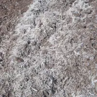 کود مرغ