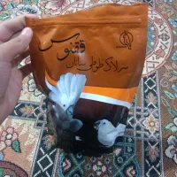 سرلاک پرنده