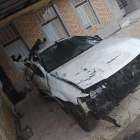 سمندتصادفی