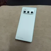 داریا باند سفید امارات