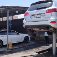 نیروی کاری و زرنگ کارواش