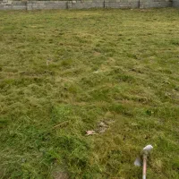 کاربادستگاه علف زدن