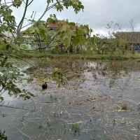 خانه ویلایی روستایی نزدیک باغ پرندگان|فروش خانه و ویلا|رشت, حومه رشت|دیوار