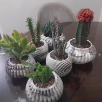 گلدون سنگ مصنوعی|صنایع دستی و سایر لوازم تزئینی|بروجرد, |دیوار