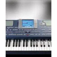 ارگ و خواننده