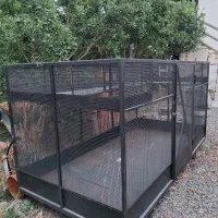 قفس بزرگ و محکم|لوازم جانبی حیوانات|قائم‌شهر, |دیوار