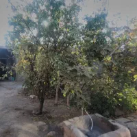 منزل ویلایی|فروش خانه و ویلا|جوین, |دیوار