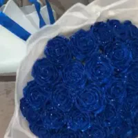 گل جاویدان|گل مصنوعی|بیرجند, |دیوار