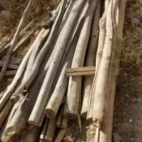 تعدادی چوب ۳و۴ متری باتعدادی تخته به فروش میرن|مصالح و تجهیزات ساختمان|سردشت, |دیوار