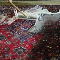 قالیشویی امین ری|خدمات نظافت|ری, علایین|دیوار