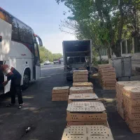 اردک|حیوانات مزرعه|جوادآباد, |دیوار