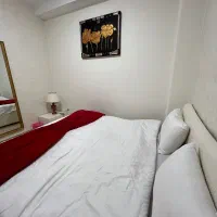 اجاره سویت مبله روزانه/هفتگی /ماهیانه /پونک|اجارهٔ کوتاهمدت آپارتمان و سوئیت|تهران, پونک|دیوار