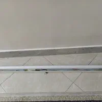 مهتابی