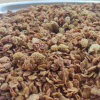 گرانولا|خوردنی و آشامیدنی|اصفهان, وحید|دیوار