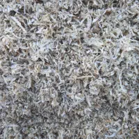 خوراک دام وطیور چغندر و سیب مخصوص گاو و گوسفند|لوازم جانبی حیوانات|رشت, توشیبا|دیوار