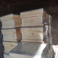 کندو زنبور عسل