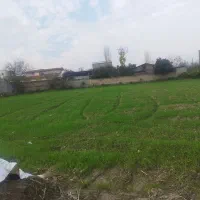 زمین مسکونی|فروش زمین و ملک کلنگی|گلوگاه, |دیوار