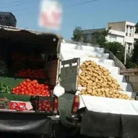 وانت با راننده ، نیسان ، مشارکت ، ایسوزو